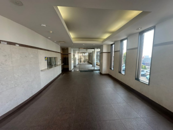 ���r�[ �J�����ƐÂ��������Â����r�[���E���W�B