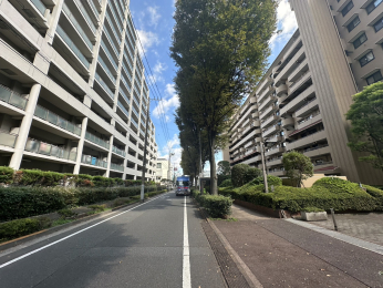 ̑n LXƂ~nɂ͗΂ApJɎꂳĂ܂B